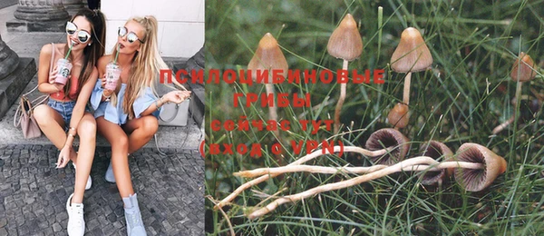 крисы Балахна