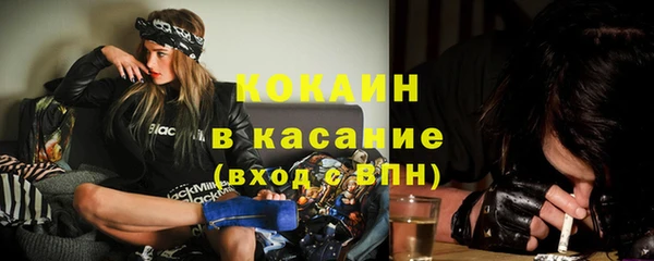 крисы Балахна
