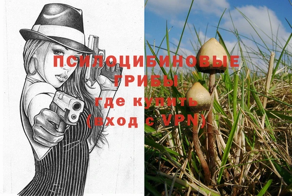 крисы Балахна