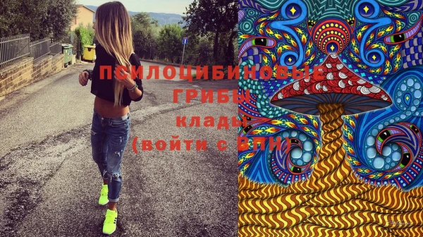 крисы Балахна